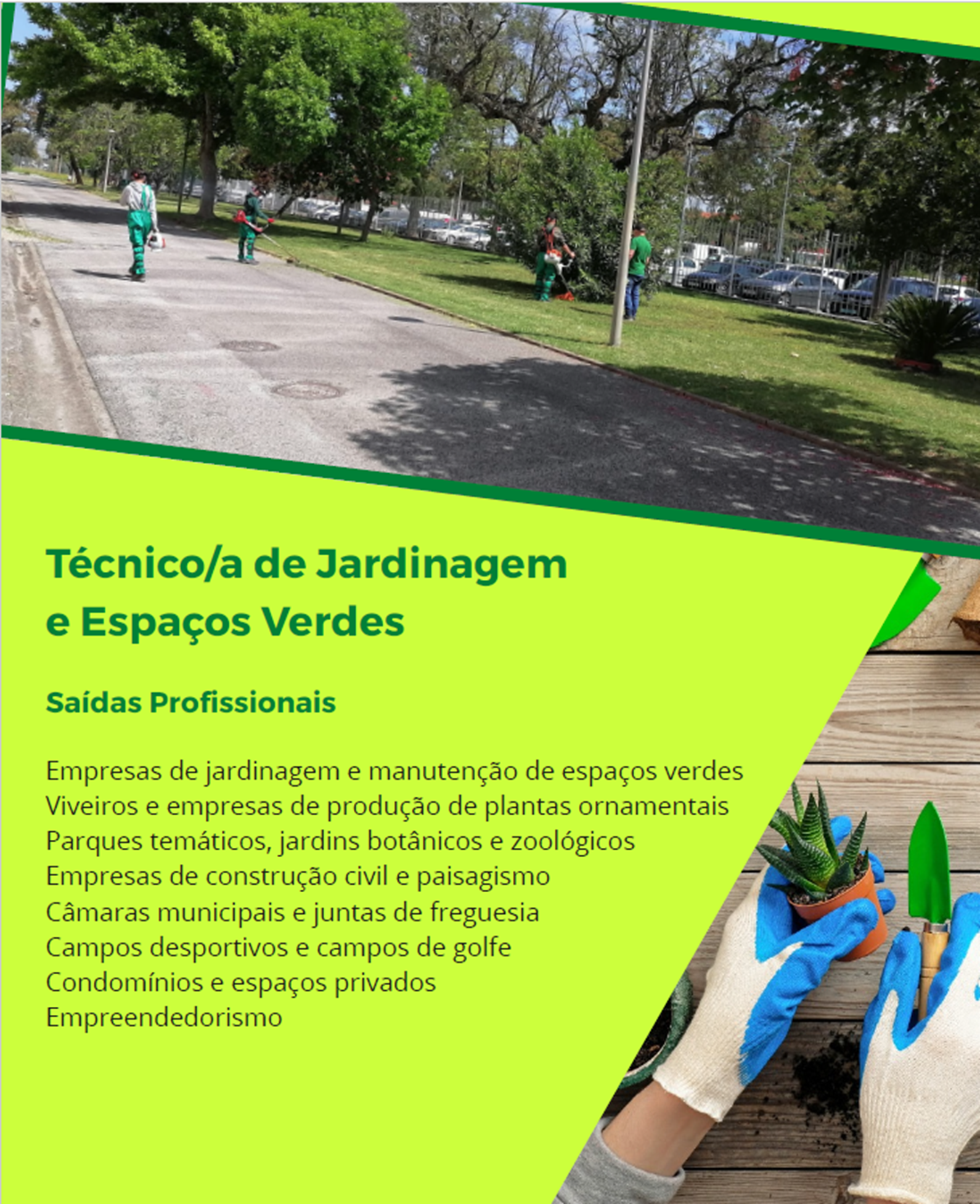 Uma imagem com texto, rvore, ar livre, planta

Os contedos gerados por IA podem estar incorretos.